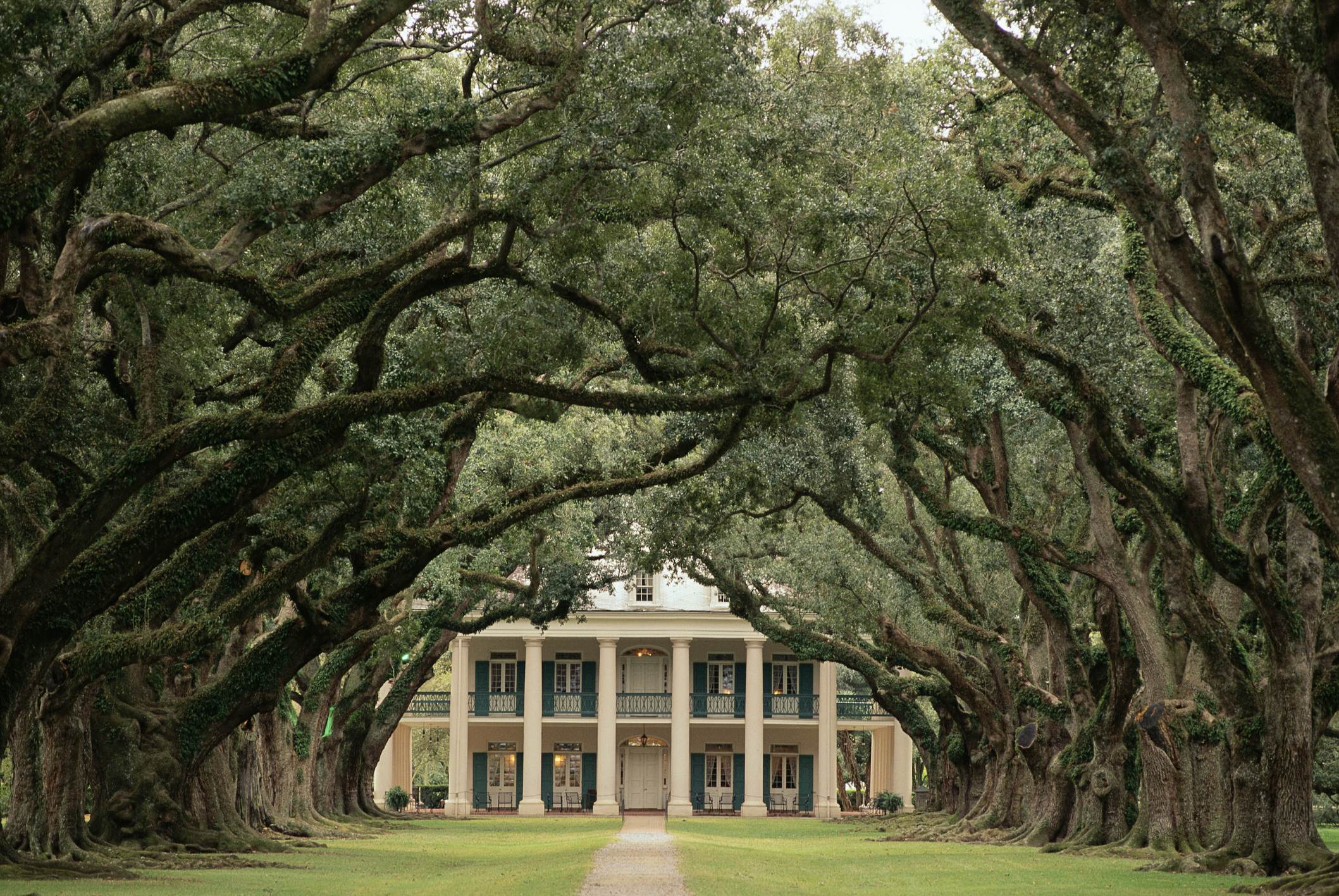 Oak Alley Plantation | Louisiana, USA | Attractions - Lonely Planet